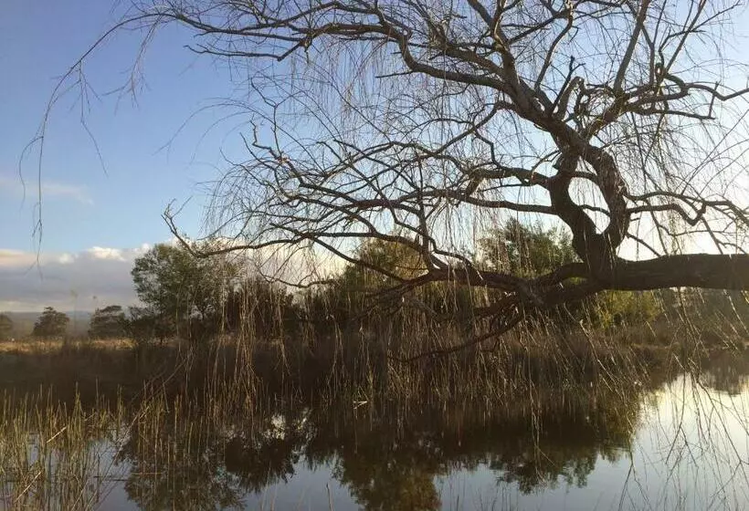 Мотель Idlewilde Country & Town Motorinn