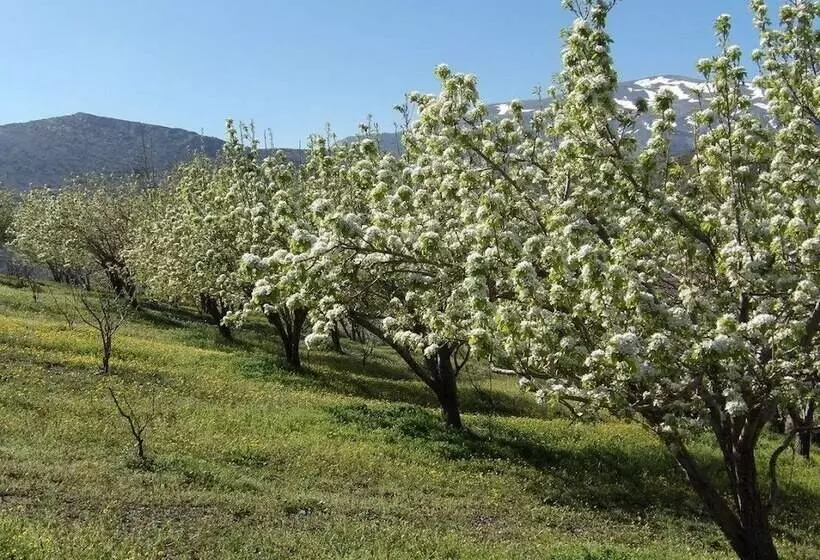 بنسيون Arodamos Traditional Houses