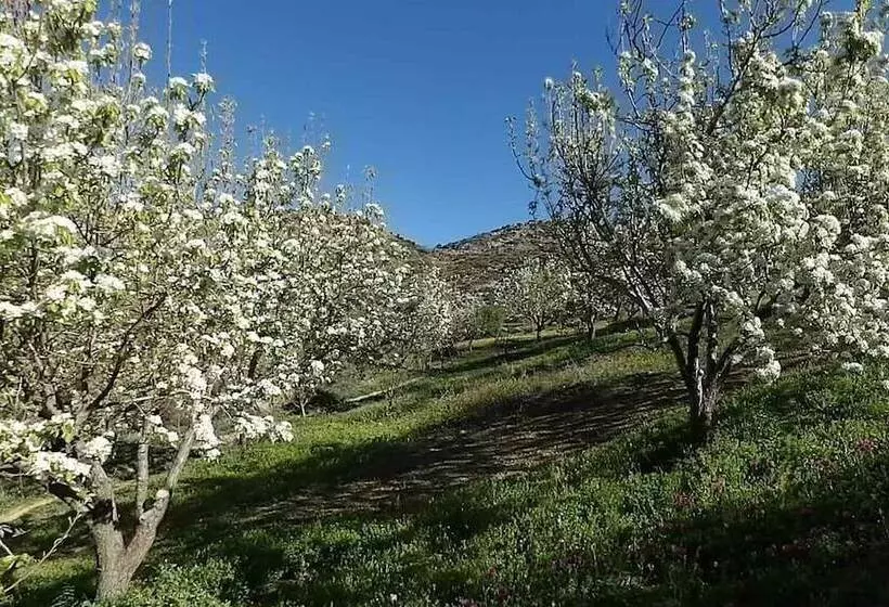 بنسيون Arodamos Traditional Houses