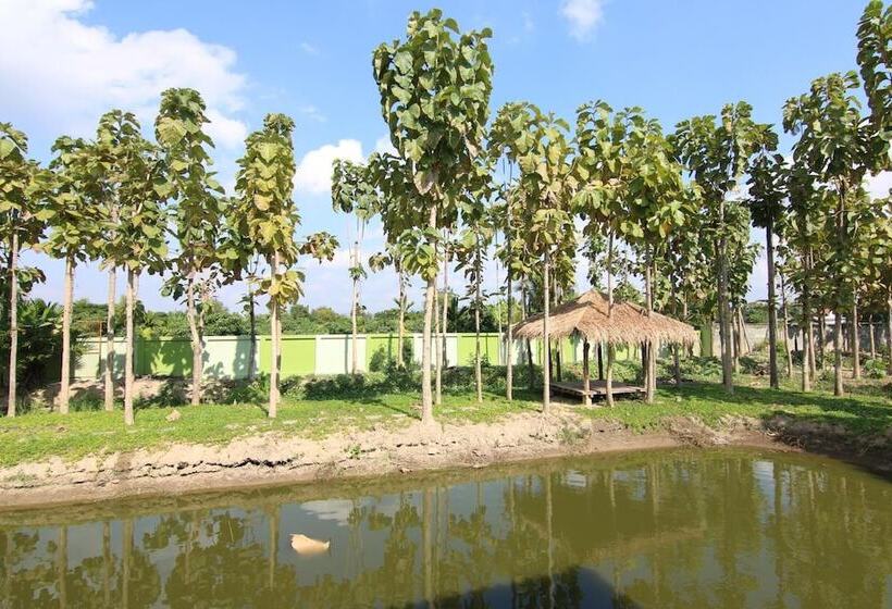 פנסיון Little Teak Home Stay