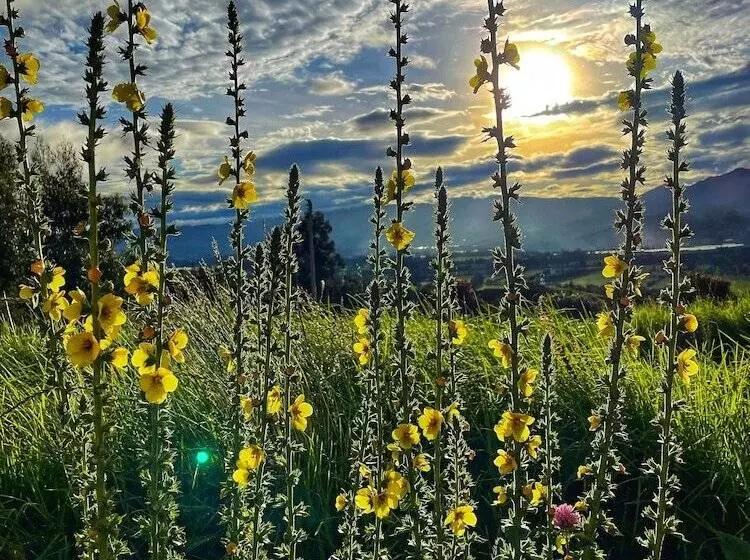 Cabaña Agrreste Bed & Breakfast