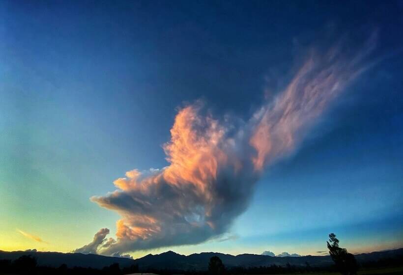 Cabaña Agrreste Bed & Breakfast