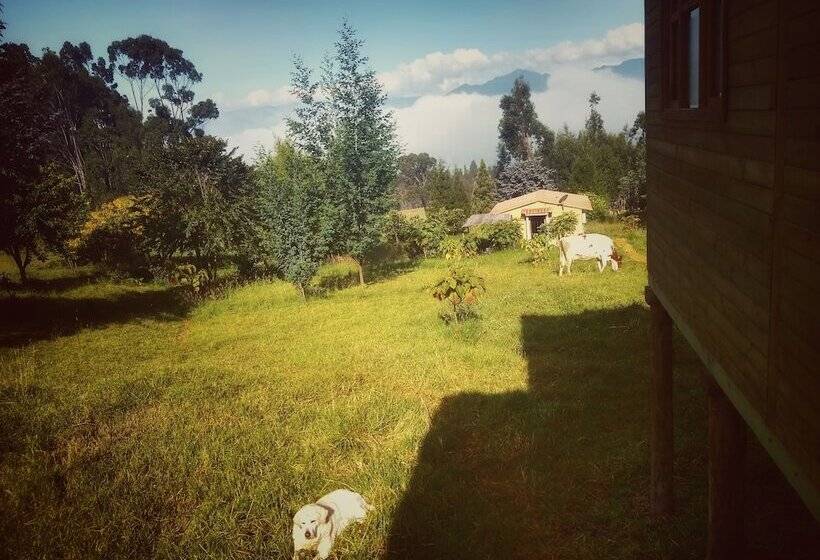 Cabaña Agrreste Bed & Breakfast