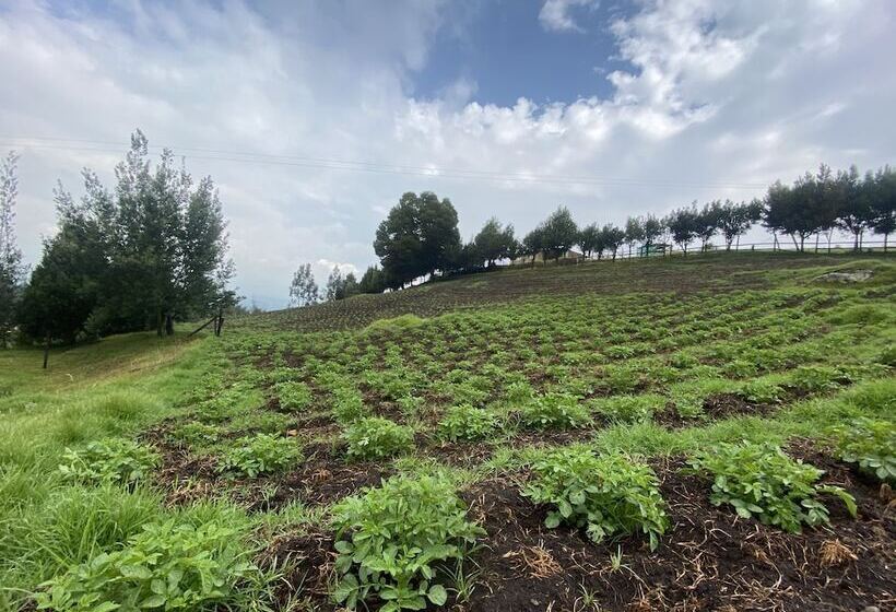 Cabaña Agrreste Bed & Breakfast