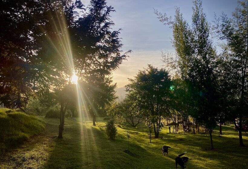 Cabaña Agrreste Bed & Breakfast