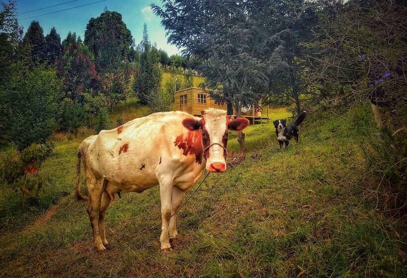 Cabaña Agrreste Bed & Breakfast