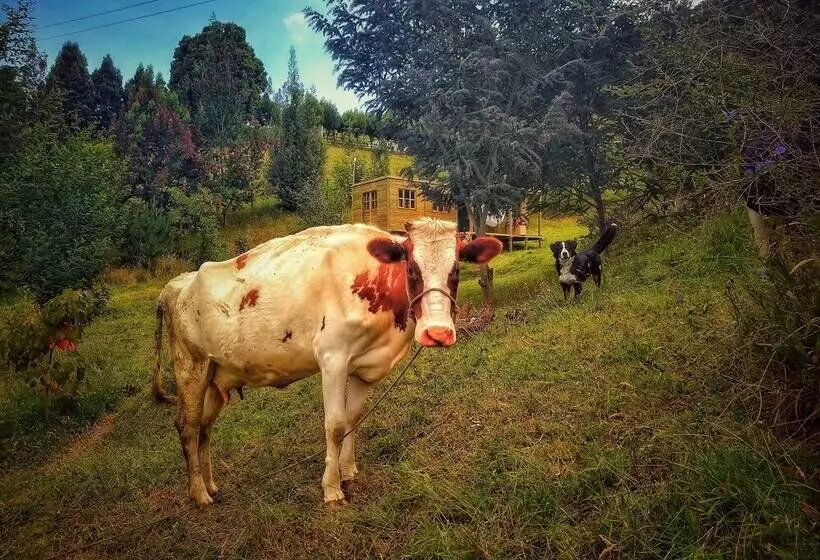 Cabaña Agrreste Bed & Breakfast