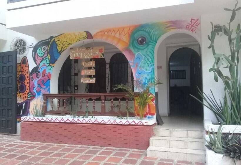 Casa Tropicalia Hostel