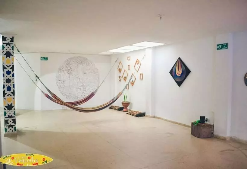 Casa Tropicalia   Hostel