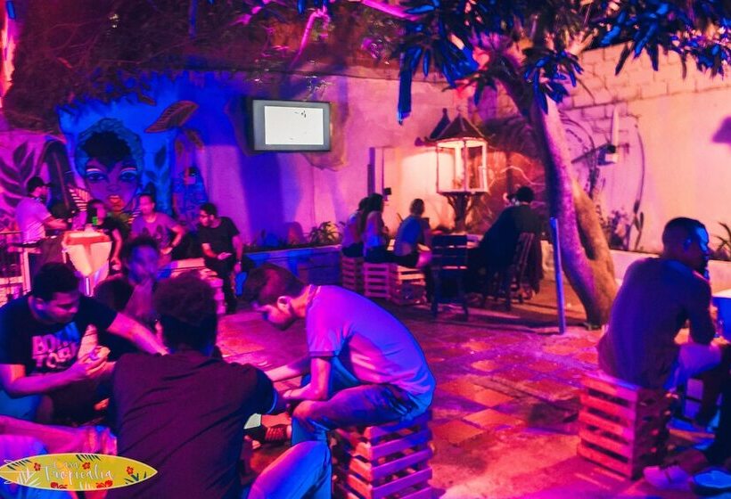 Casa Tropicalia Hostel