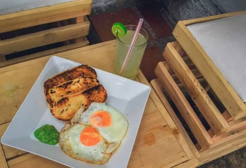 Casa Tropicalia   Hostel