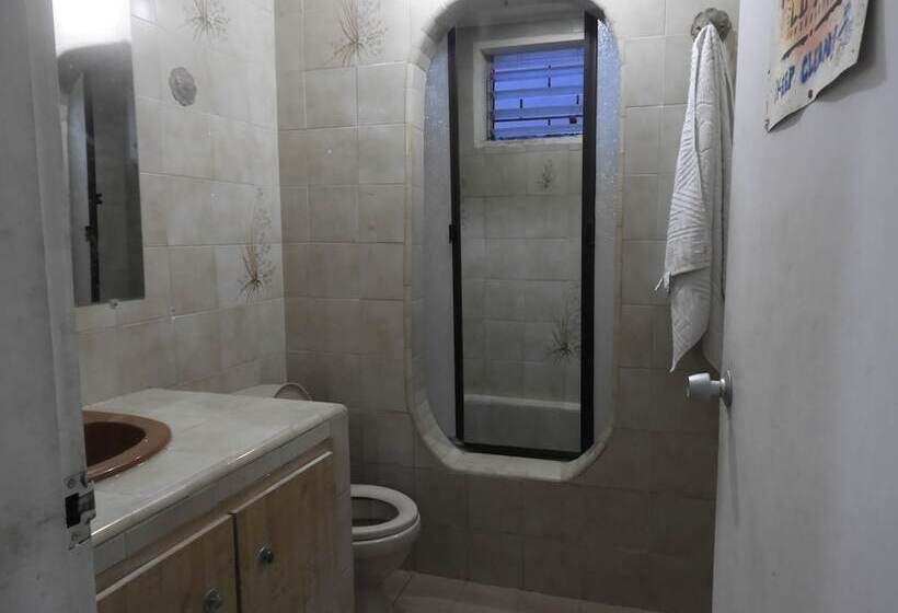 Casa Tropicalia Hostel