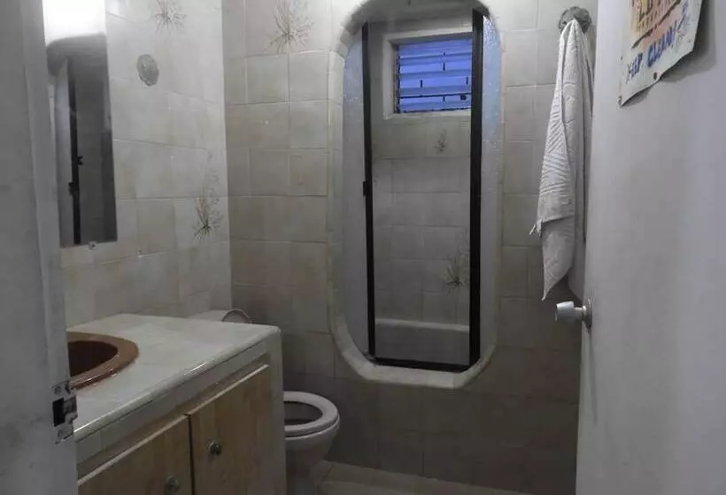 Casa Tropicalia   Hostel