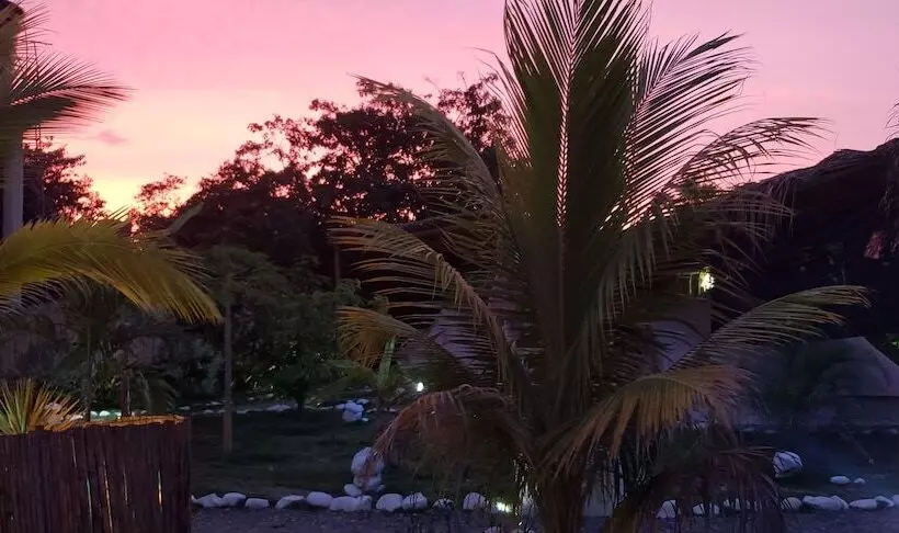 El Zoo Hostel & Pool