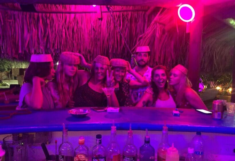 El Zoo Hostel & Pool