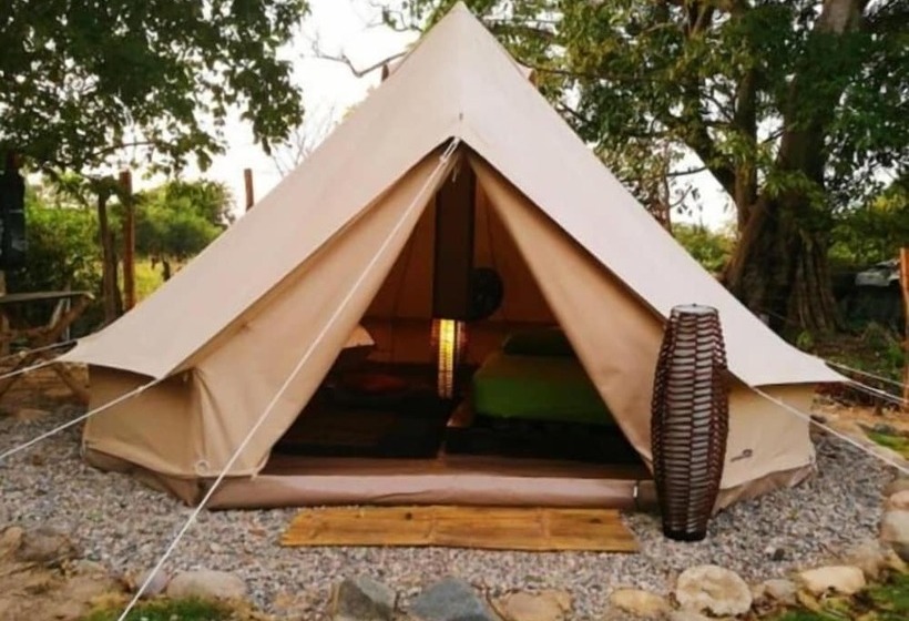 El Zoo Hostel & Pool