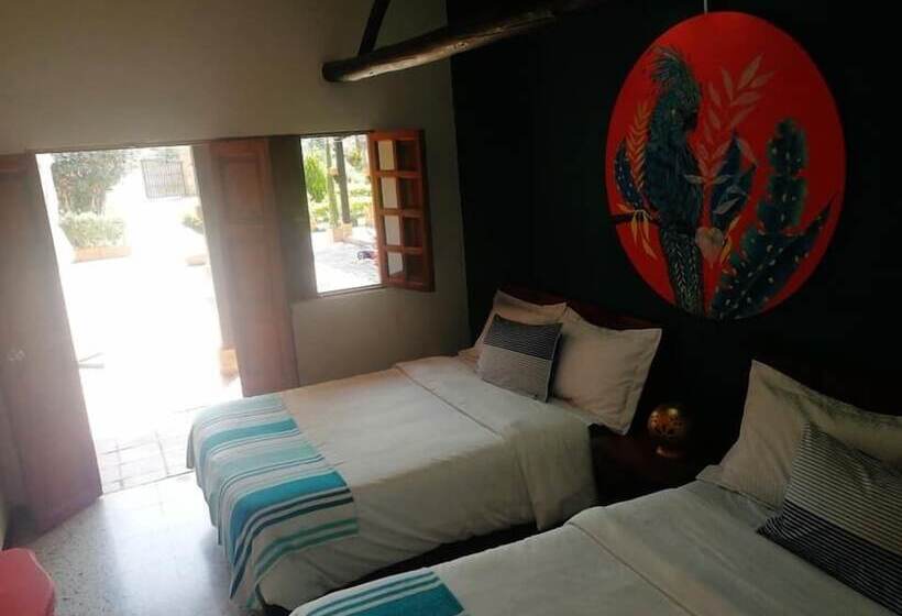 Ficus Hotel Boutique