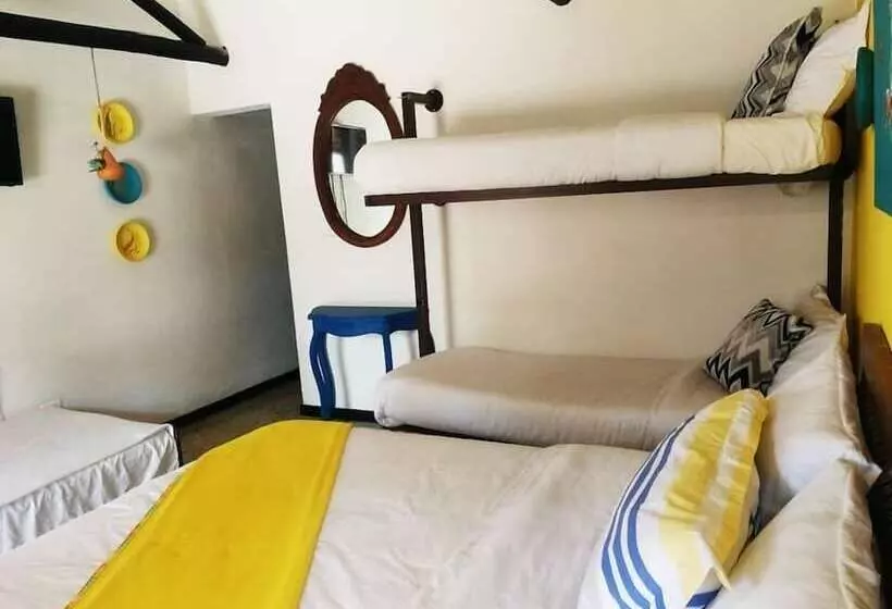 Ficus Hotel Boutique