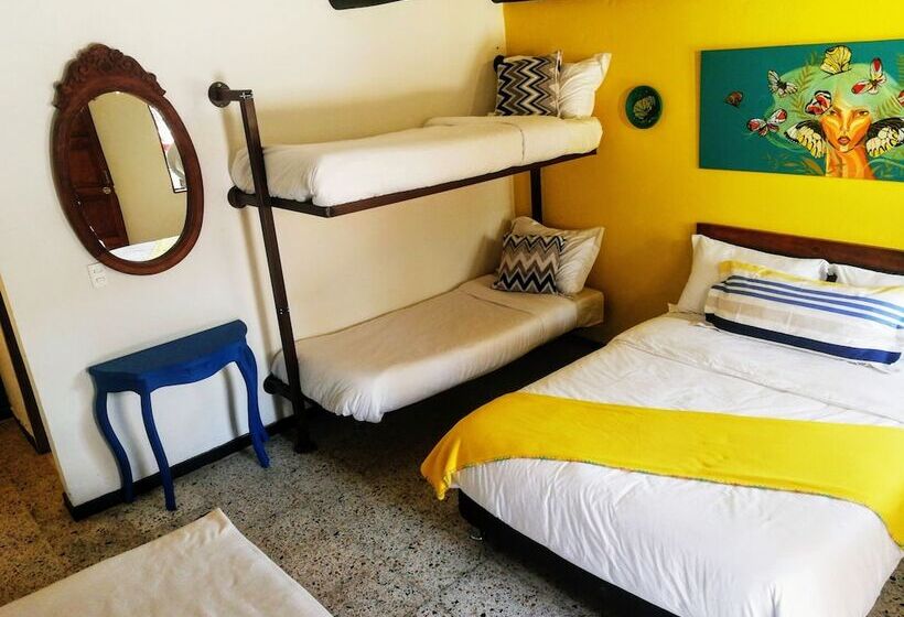 Ficus Hotel Boutique