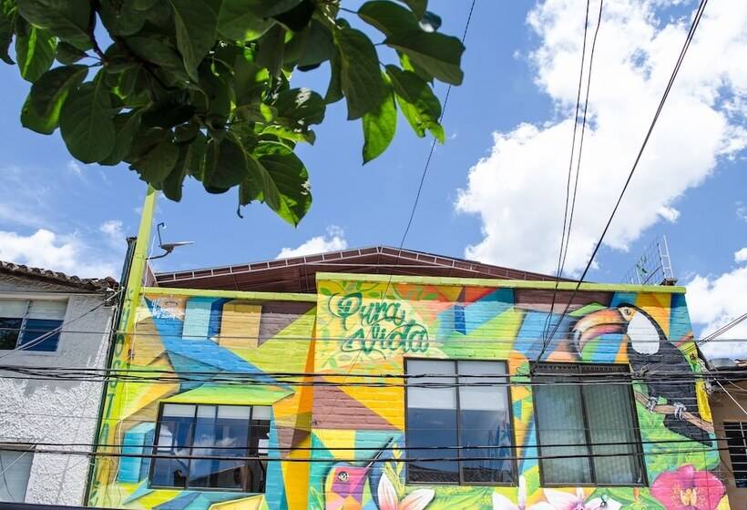 Hostal Pura Vida La 70