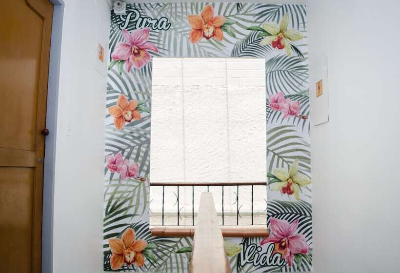 Hostal Pura Vida La 70