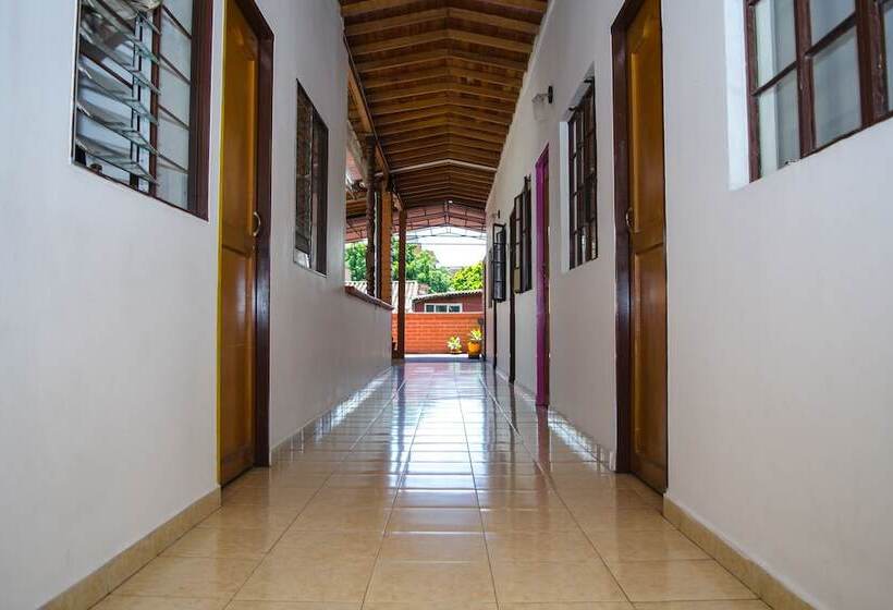 Hostal Pura Vida La 70