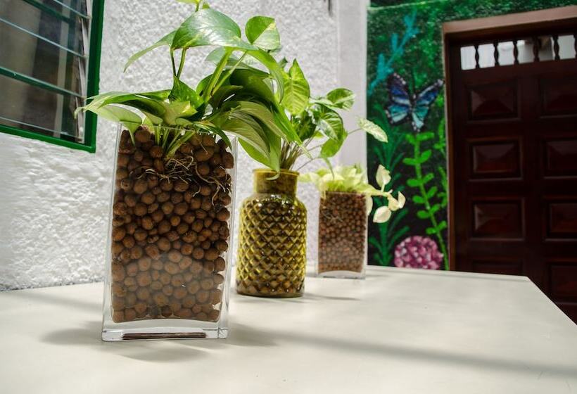 Hostal Pura Vida La 70