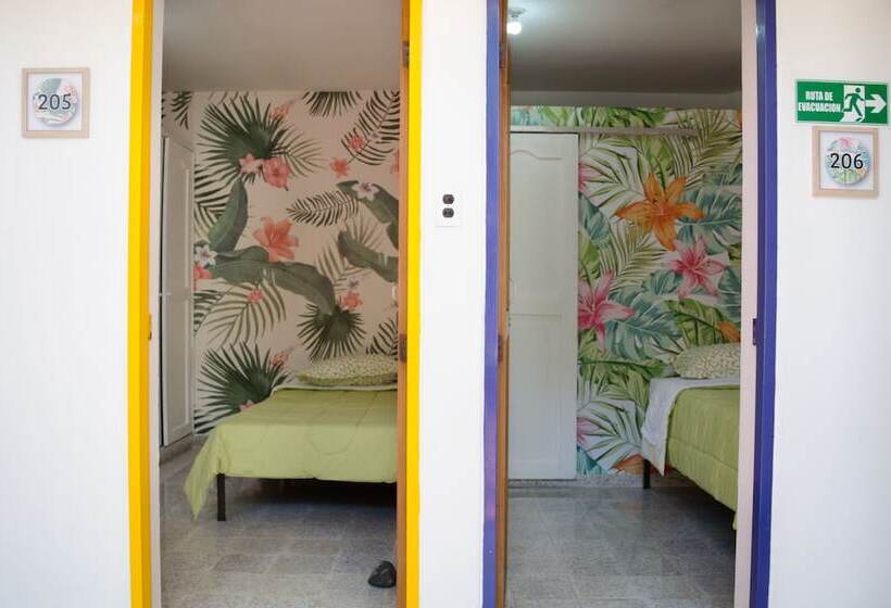 Hostal Pura Vida La 70