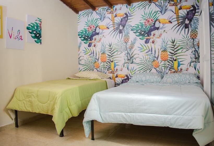 Hostal Pura Vida La 70