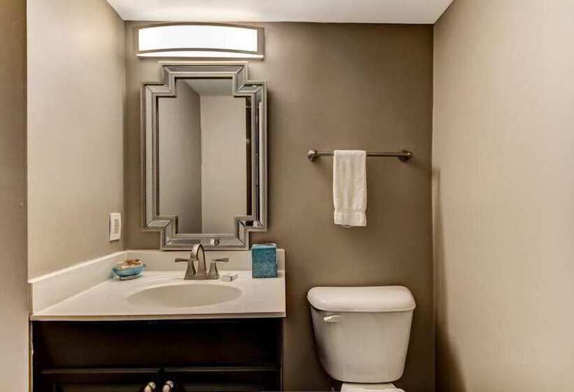 호텔 1362 Shipwatch