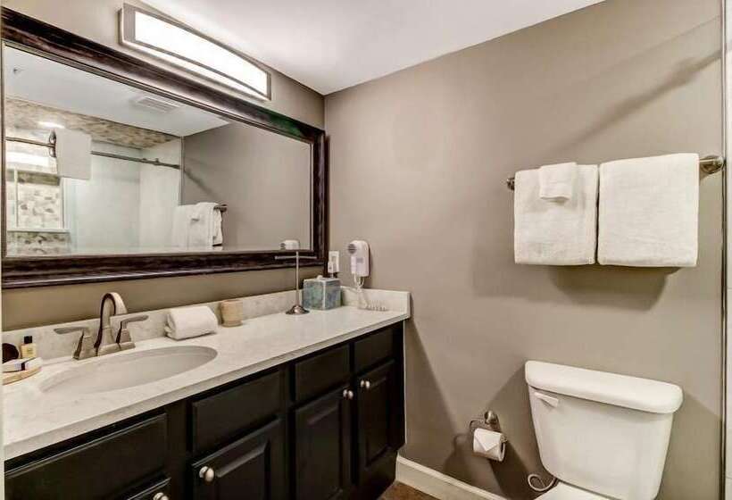 호텔 1362 Shipwatch