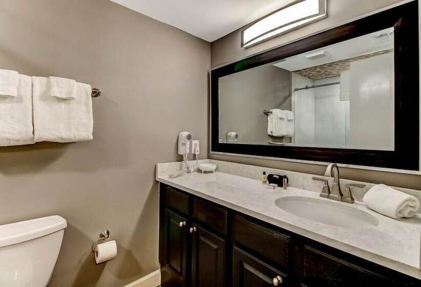 호텔 1362 Shipwatch