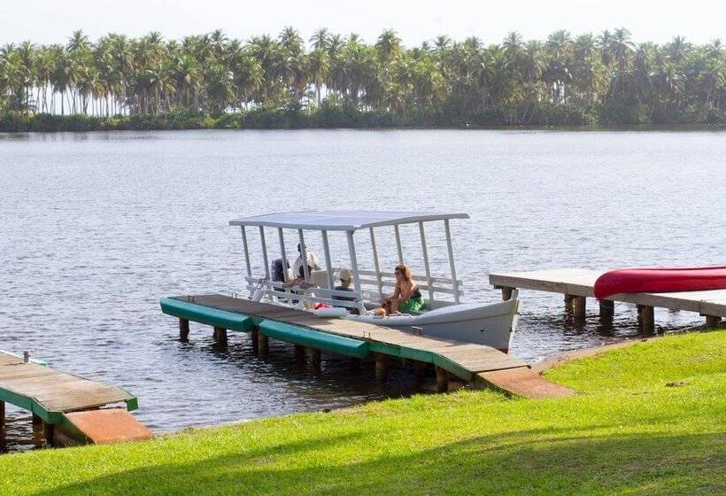 هتل African Queen Lodge