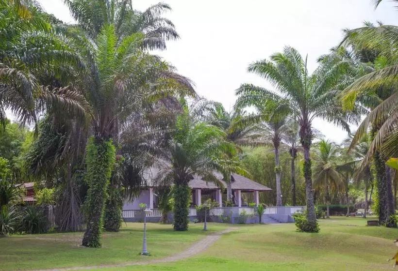 هتل African Queen Lodge