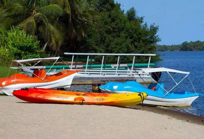 هتل African Queen Lodge