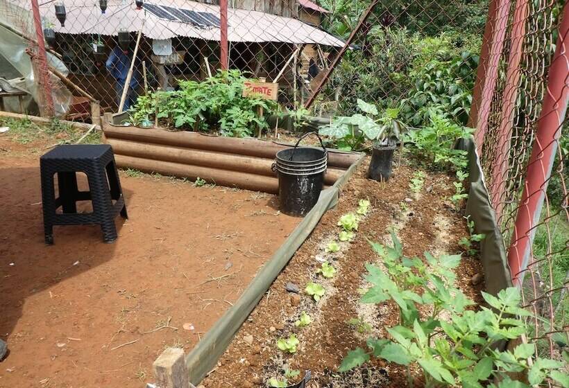 Hotel Desarrollo Biodiverso