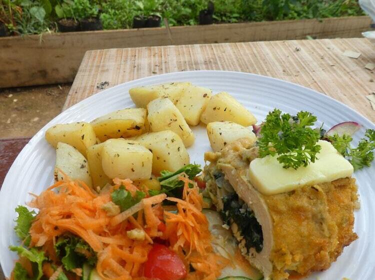 Hotel Desarrollo Biodiverso