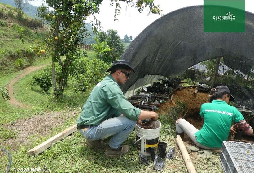 Hotel Desarrollo Biodiverso