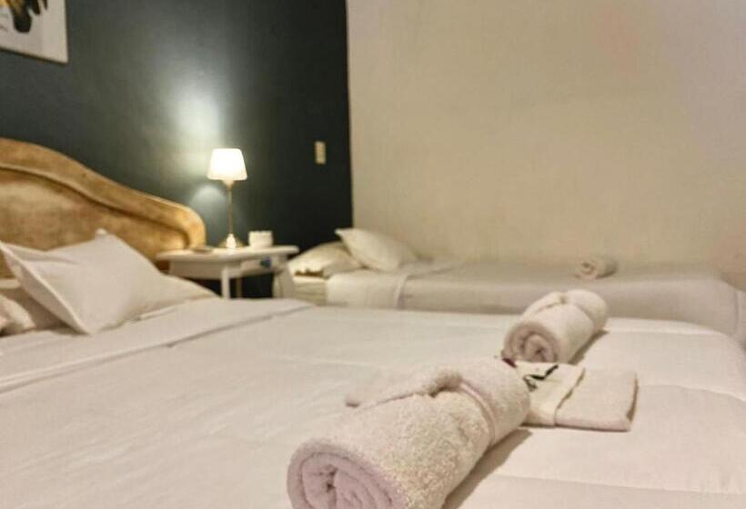 호텔 Posada Novalis Vgb