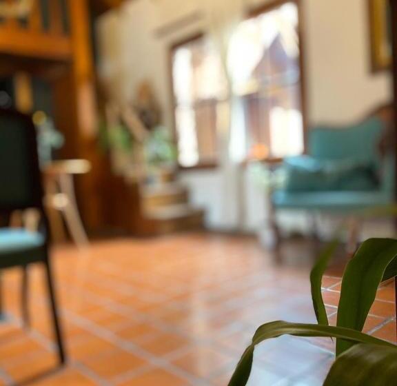 호텔 Posada Novalis Vgb