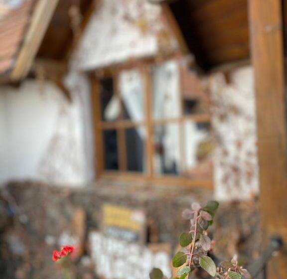 호텔 Posada Novalis Vgb