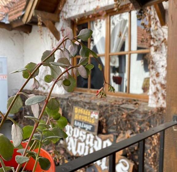 호텔 Posada Novalis Vgb