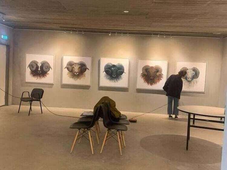 پانسیون Brúnir