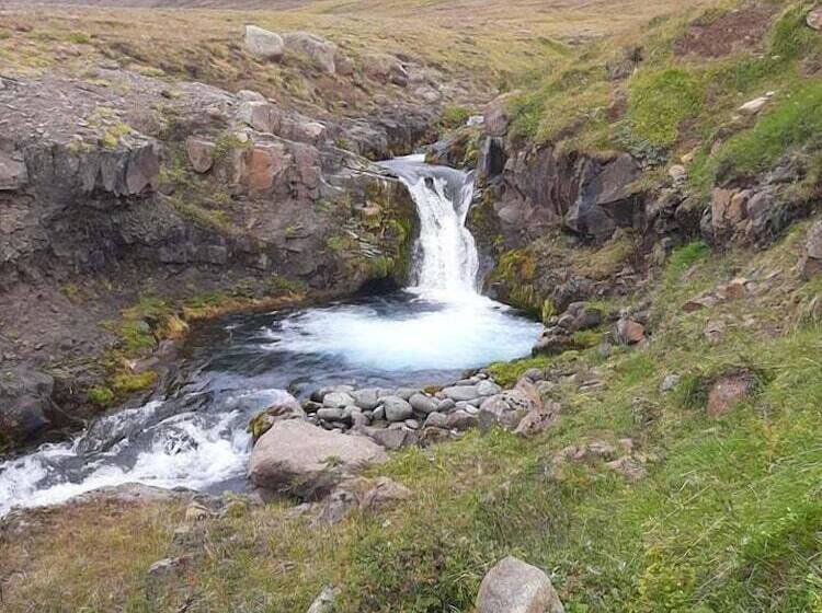 پانسیون Brúnir