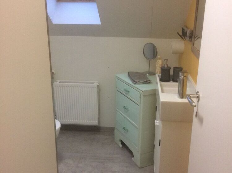 پانسیون Brúnir