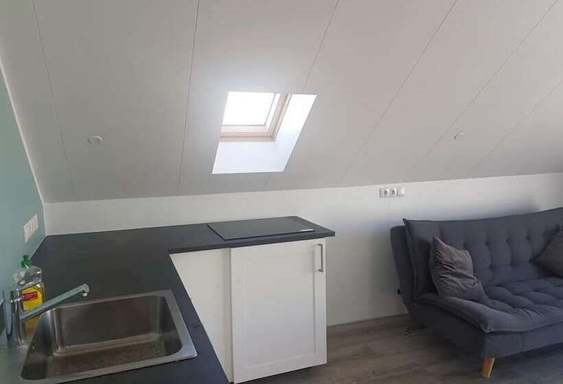 پانسیون Brúnir