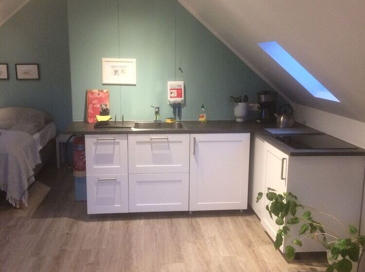 پانسیون Brúnir