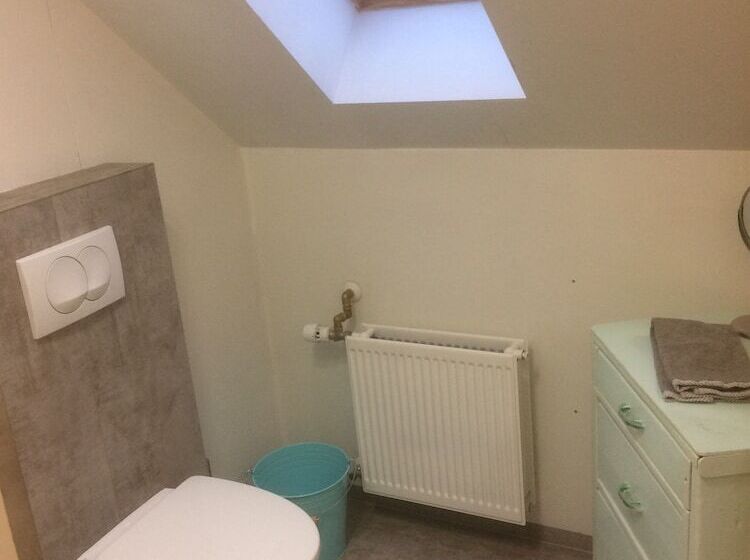 پانسیون Brúnir