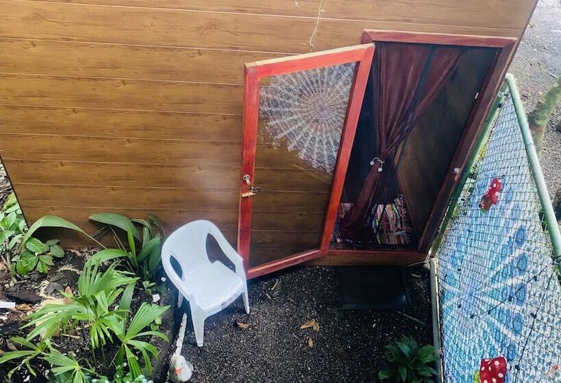 膳宿费 Guest House Pura Vida