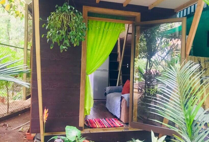 膳宿费 Guest House Pura Vida